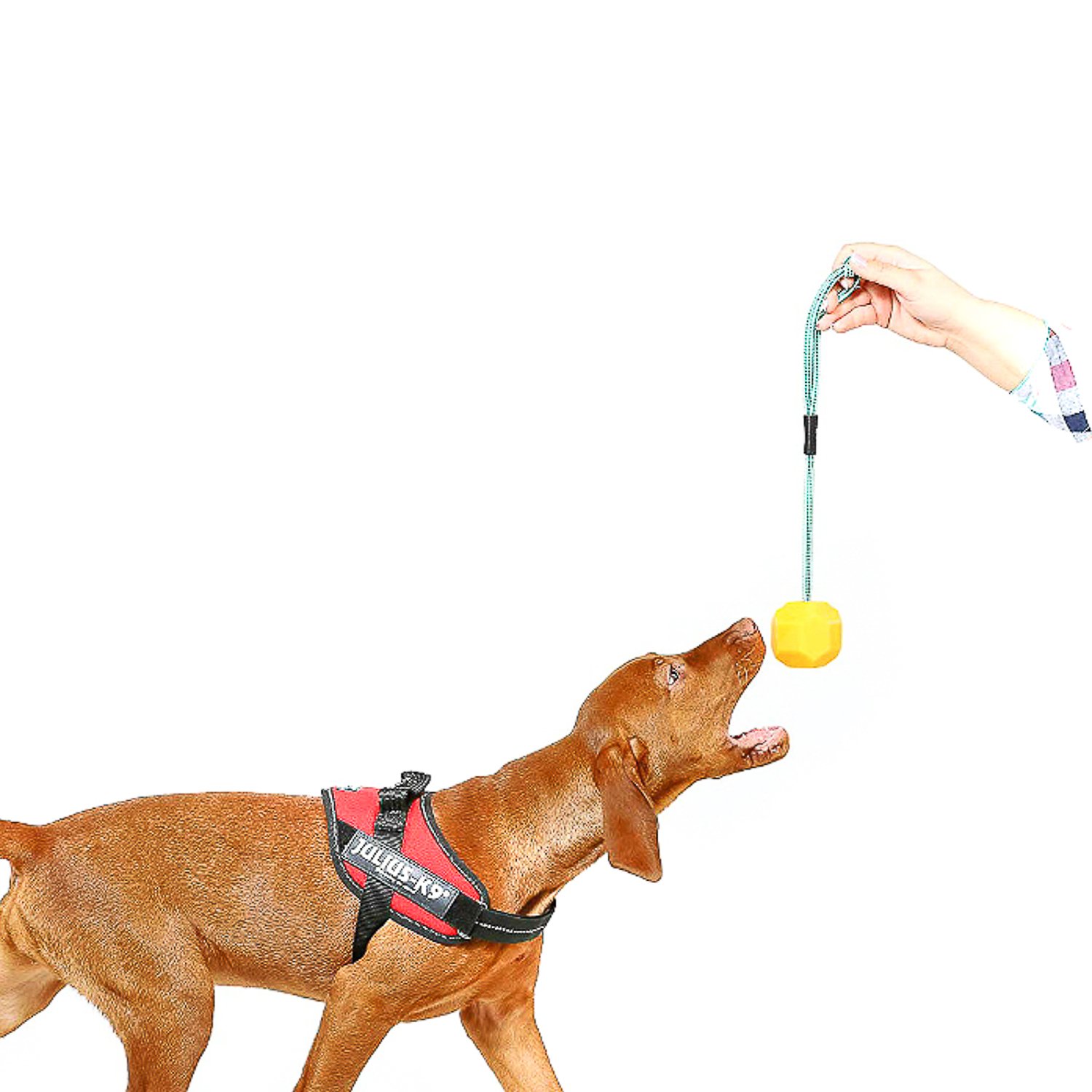 Игрушка д/собак Мяч с ручкой 10922-3781