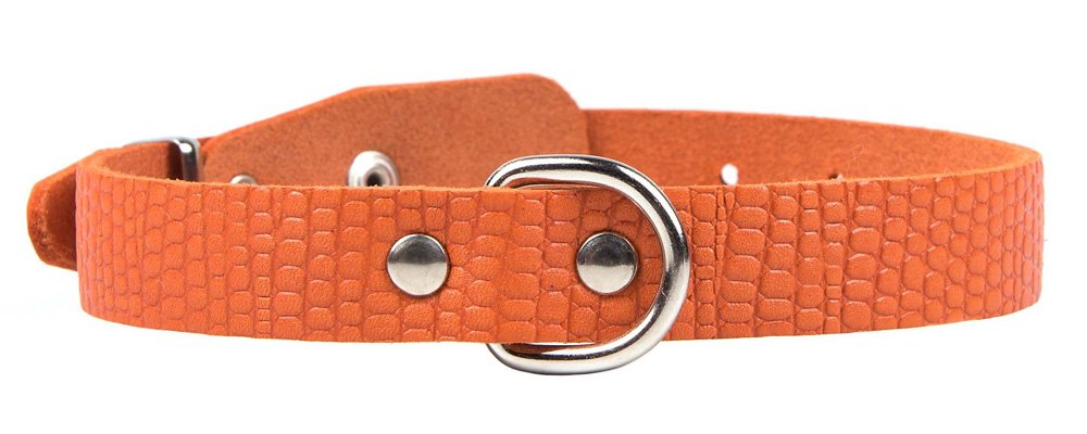 Ошейник 14 рептилия без украшений