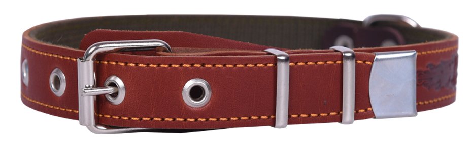 Ошейник 25 кожа+брезент тисненый