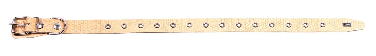 Ошейник 25 рептилия универсальный