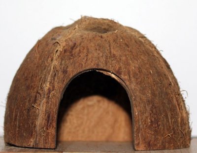 Кокосовый домик для грузунов