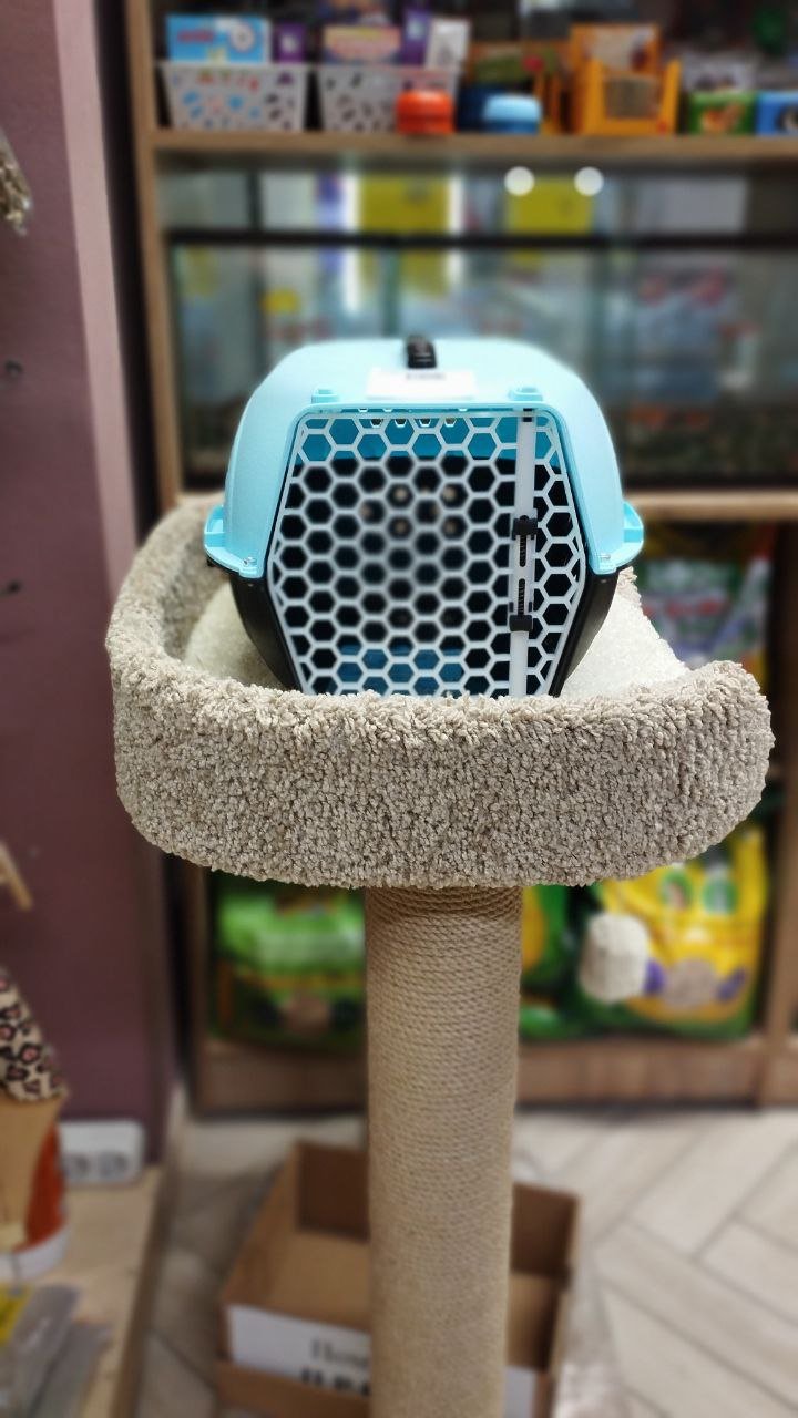 Авиа переноска для домашних животных "Чистый котик" 48*32*26 см голубой