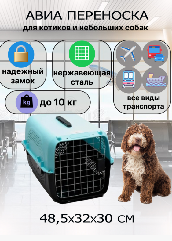 Авиа переноска для домашних животных "Чистый котик" 48,5*32*30 см голубой