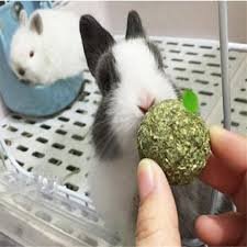 Шарик травянной для кролика и свинки 7см