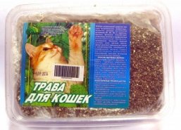 ТРАВКА ДЛЯ КОШЕК В БОЛЬШОМ КОНТЕЙНЕРЕ