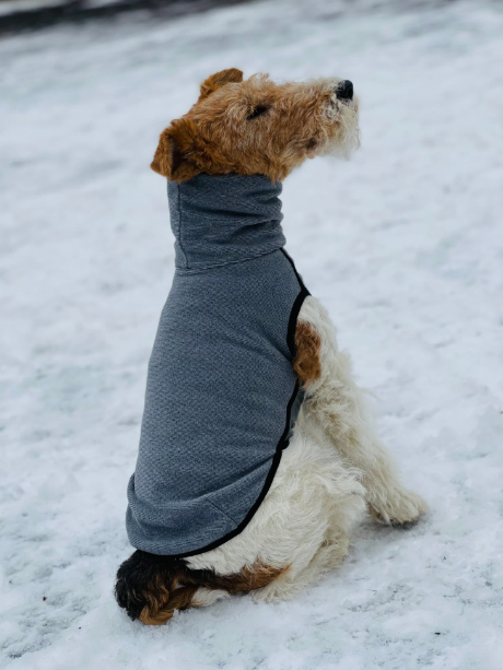 8032 Свитер для собаки на молнии, цвет cерый, размер L