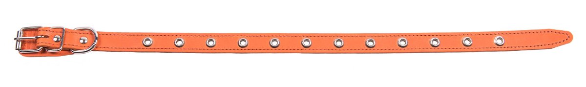 Ошейник 20 универсальный