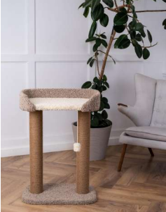 Когтеточка Лиана