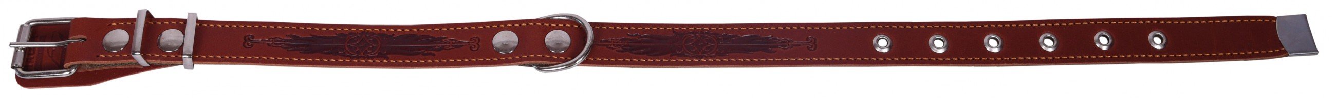 Ошейник 25 кожа+брезент тисненый