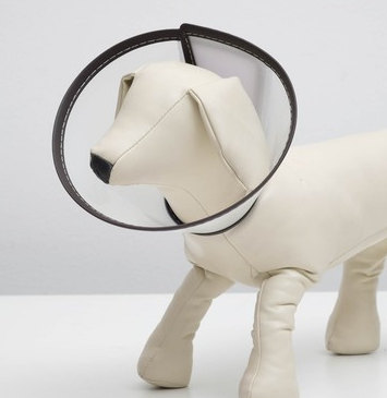 Ветеринарный воротник (А4), обхват шеи 26-31 см, высота 14 см