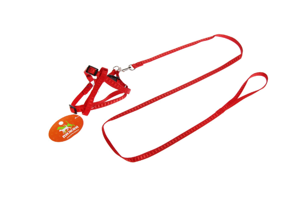 Комплект амуниции "Рельеф", поводок 120 х 1 см, шлейка 26-40 х 1 см, красный   3105757