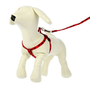 Комплект "Лапки", ширина 1 см микс цветов