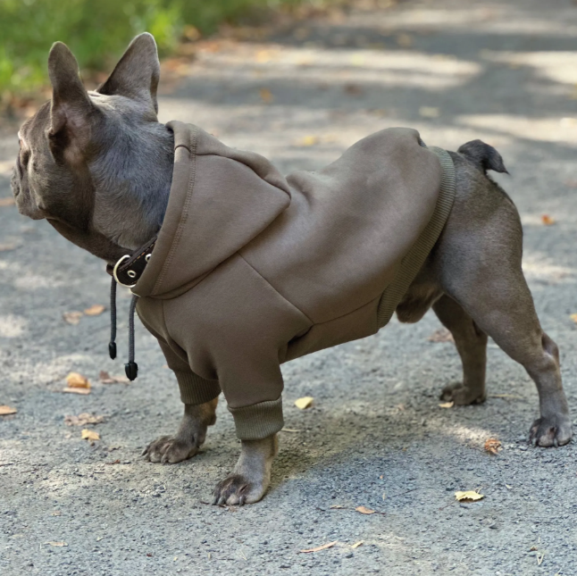 8049 Толстовка для французского бульдога, цвет  темный хаки, размер L ( вес 13-16кг)