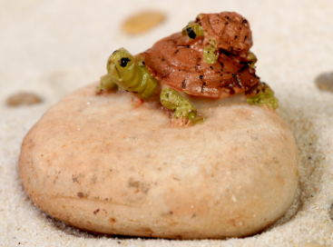 Декор для аквариума "Черепашка на камне", 5 х 4,2 х 2,8 см   2593403