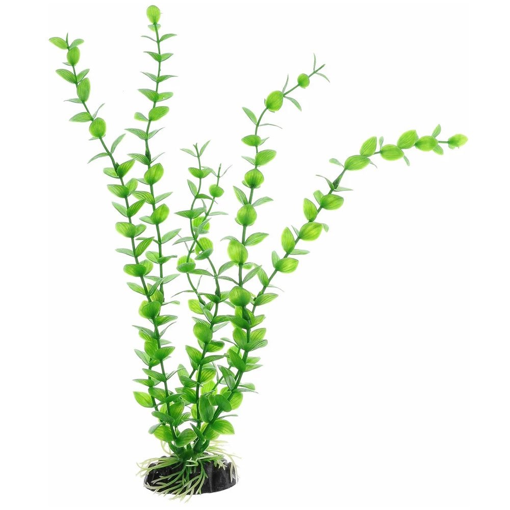 Пластиковое растение Бакопа зеленая 30см (Барбус) Plant 010/30