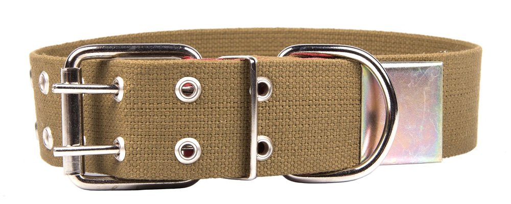 Ошейник 45 брезент