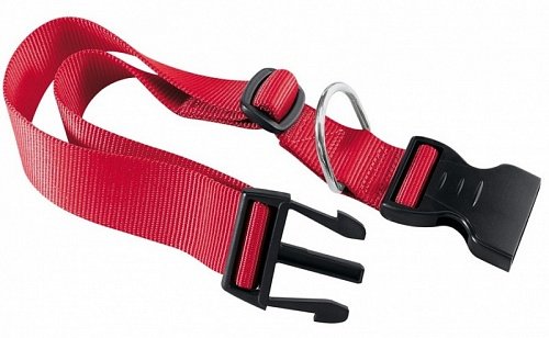 Ошейник (Ferplast) "Club" 10мм*32см, нейлон красный