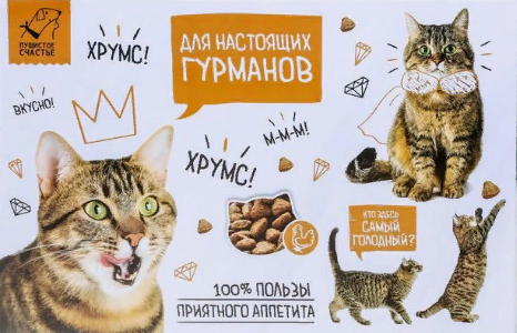 Коврик под миску "Для настоящих гурманов", 43х28см   4673336