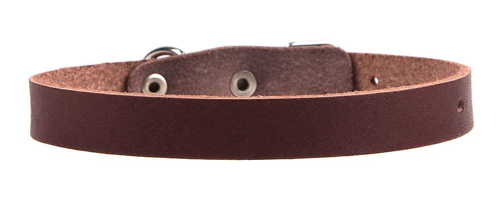 Ошейник 14 без украшений