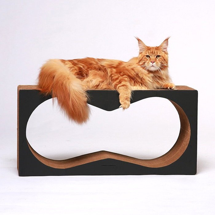 Когтеточка из картона Тумяу с картонным ободком Аквариум черный