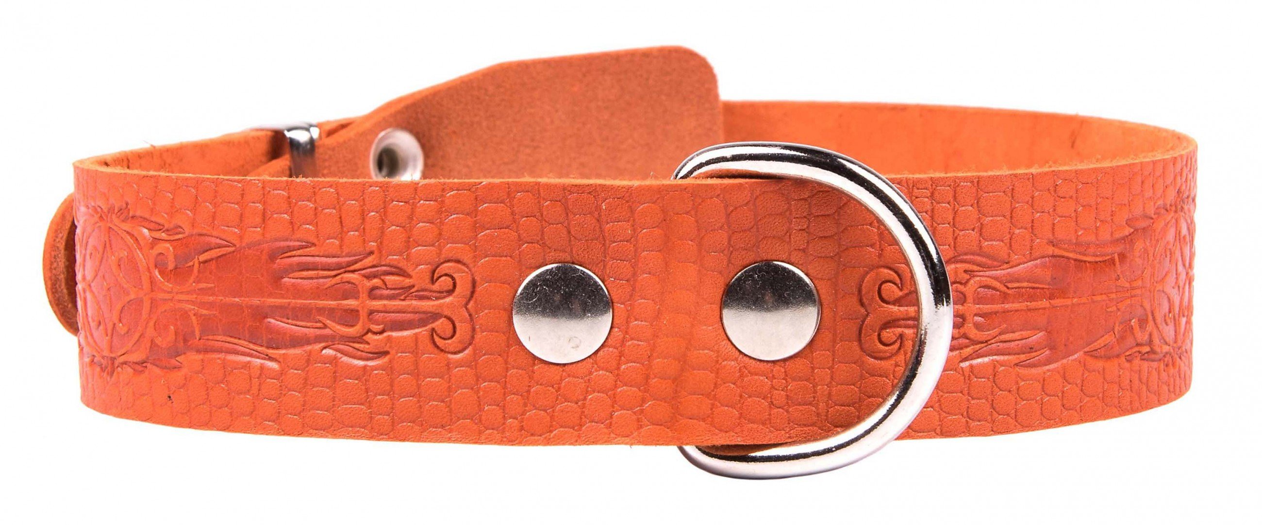 Ошейник 35 рептилия короткий тисненый