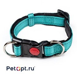 10010091 PetOpt Ошейник нейлон светоотражающий с неопреном и фиксатором Аквамарин XS:15mmX20-30cm. К