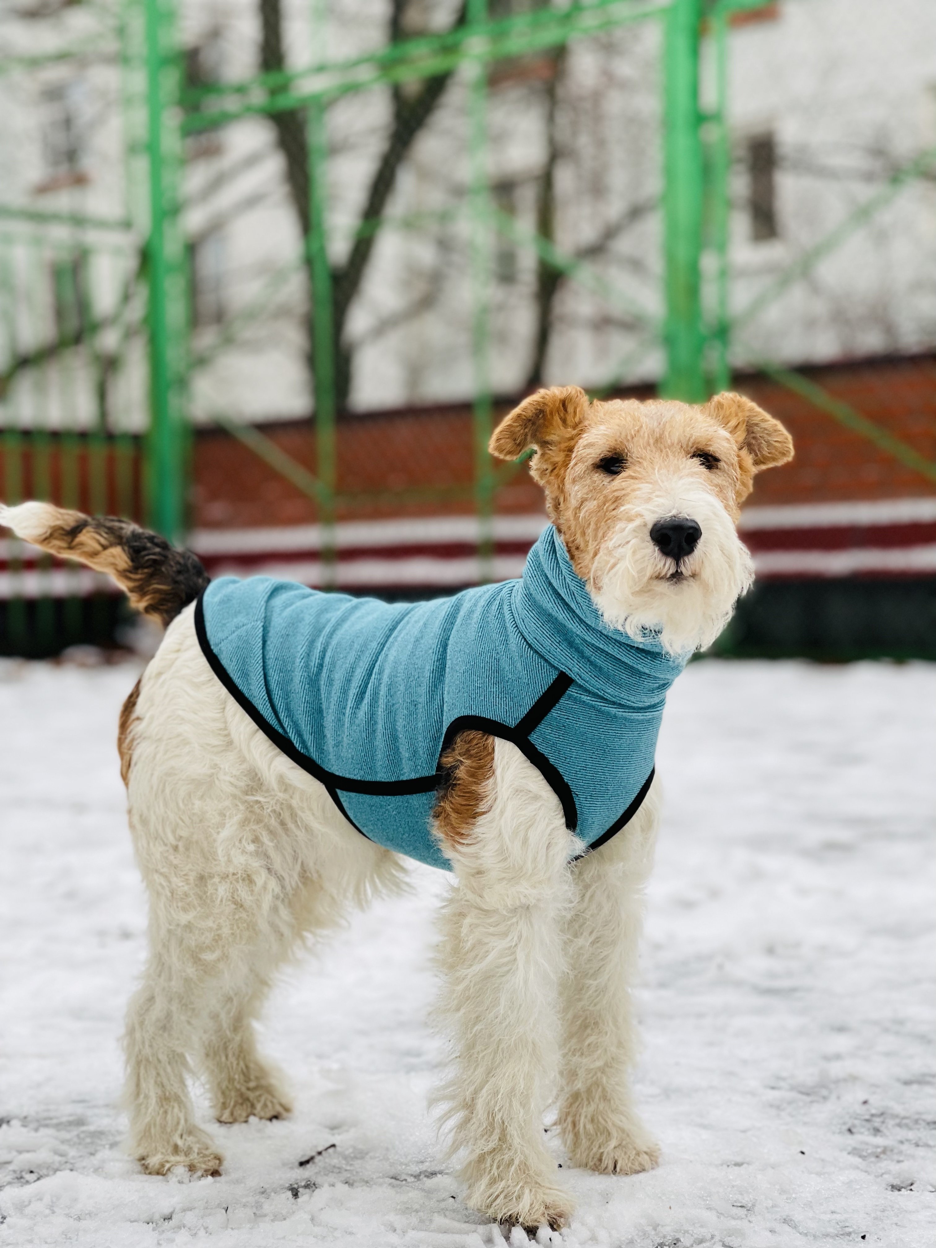 Свитер для собаки на молнии, цвет бирюзово-зеленый, размер L