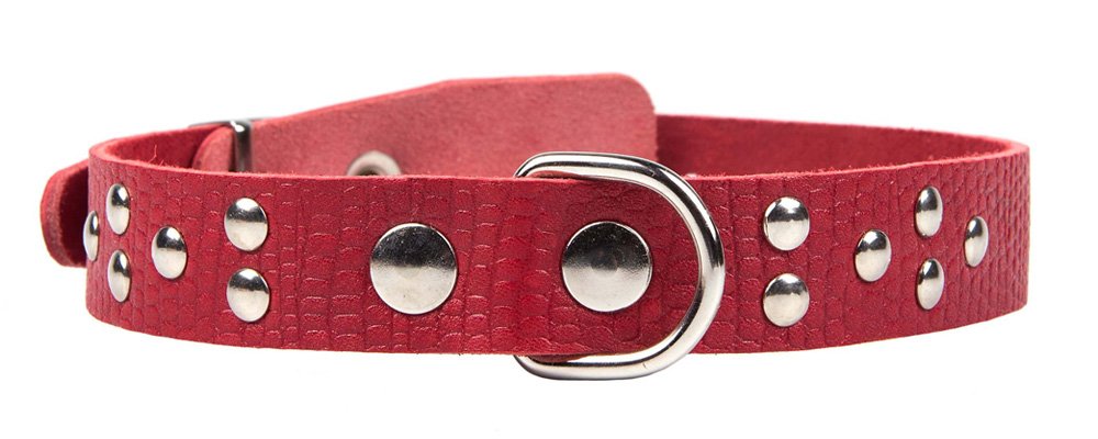 Ошейник 25 рептилия украшенный