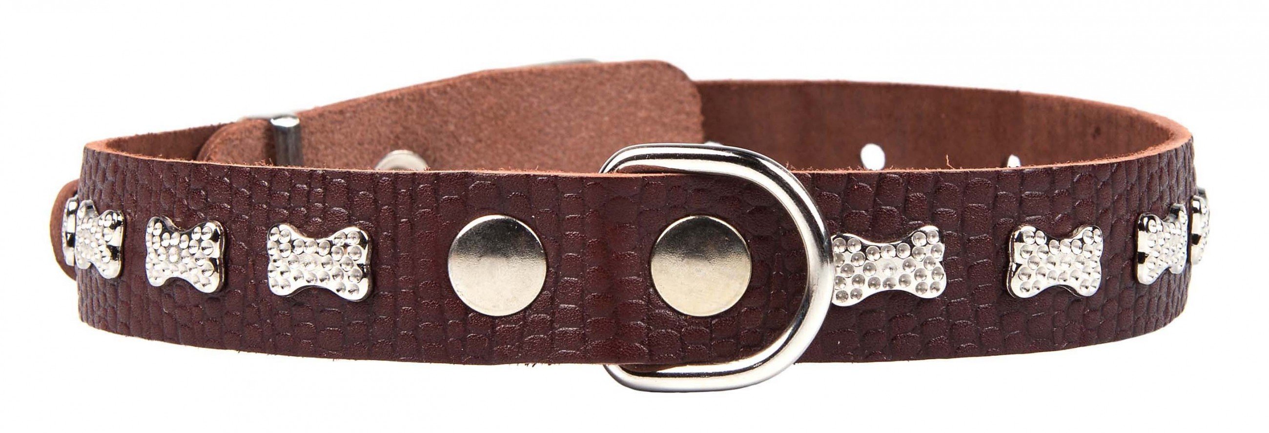 Ошейник 25 рептилия люкс