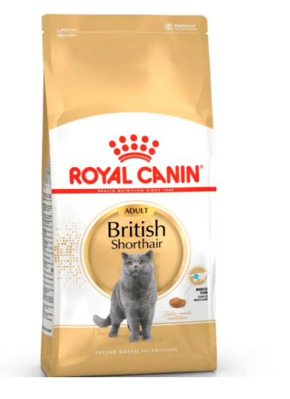 Британская короткошерстная 4,0 кг