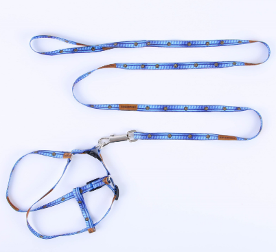 Комплект "Любимчик джинс" капрон 1см 1-слойн шлейка 120 см 7557291