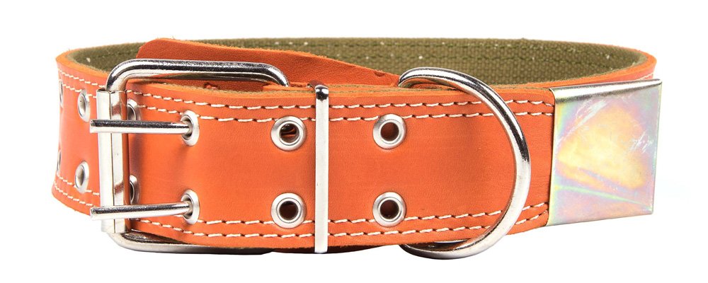 Ошейник 45 кожа + брезент