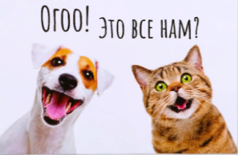 Коврик под миску "ОГО! Это все нам?" 43х28см