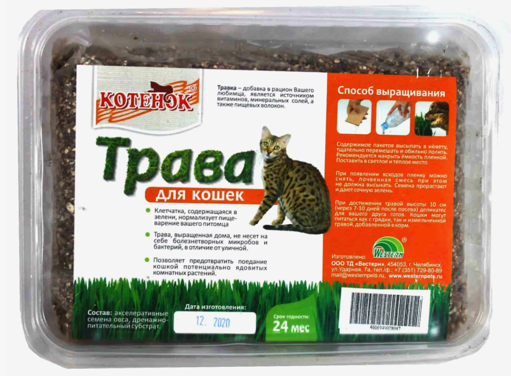ТРАВКА ДЛЯ КОШЕК В МАЛОМ КОНТЕЙНЕРЕ