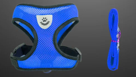 Шлейка с поводком для мелких пород S Микс