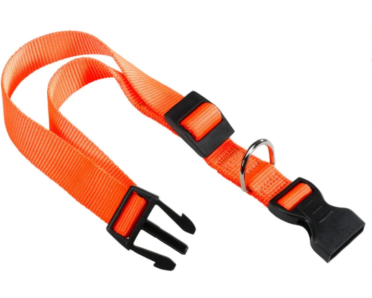 Ошейник CLUB С10/25 с пластиковым креплением оранжевый