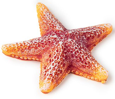 Кр-2121 Звезда средняя оранжевая