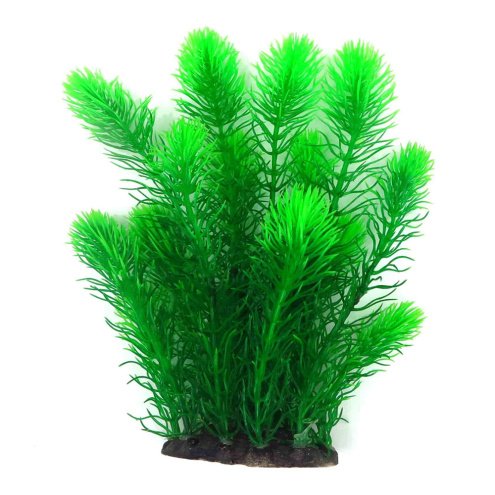 Aquanimal Растение пласт. «Погостемон зеленый» 10x8x25cm