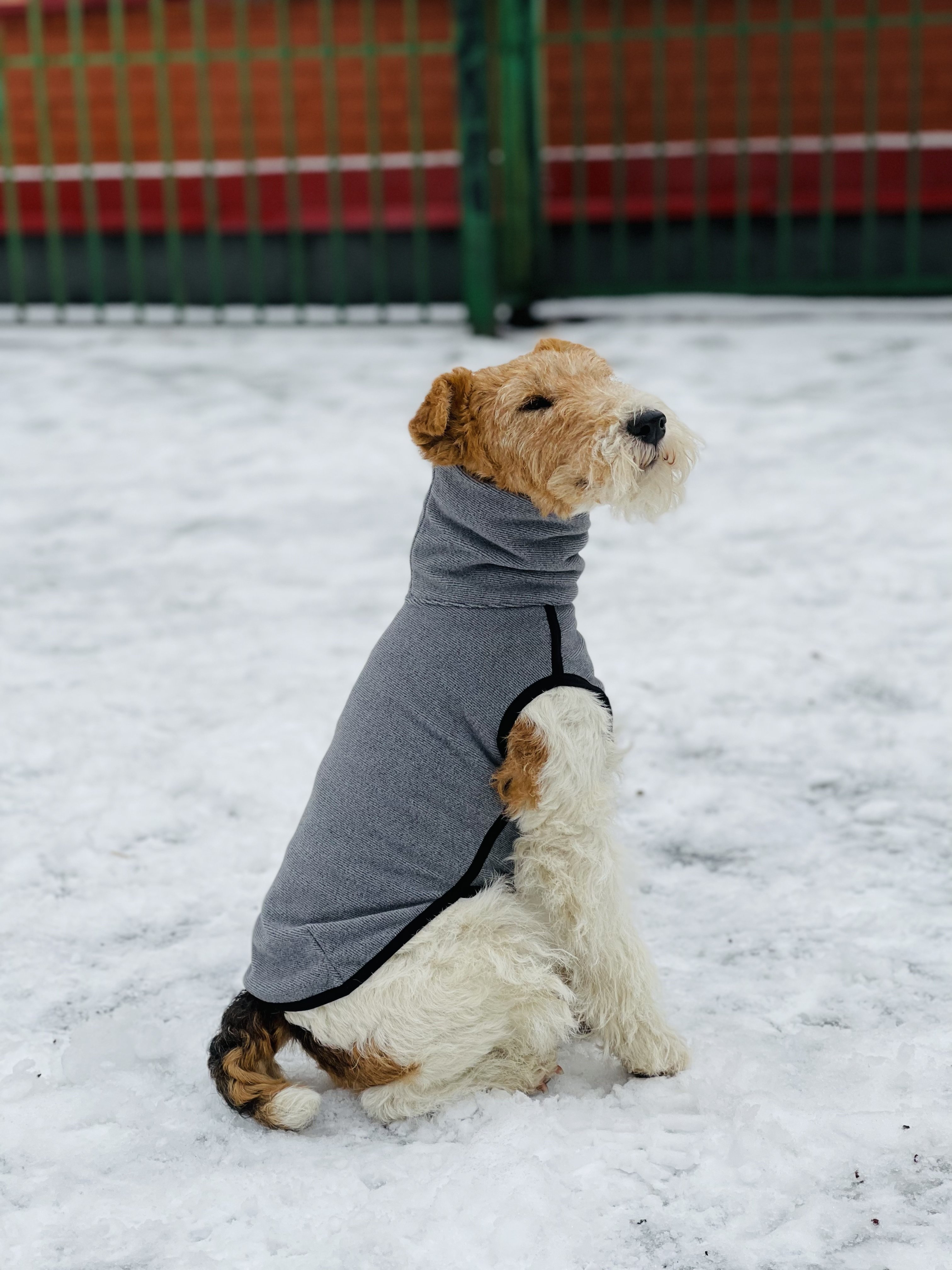 8032 Свитер для собаки на молнии, цвет cерый, размер XL