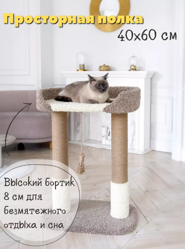 Когтеточка Лиана