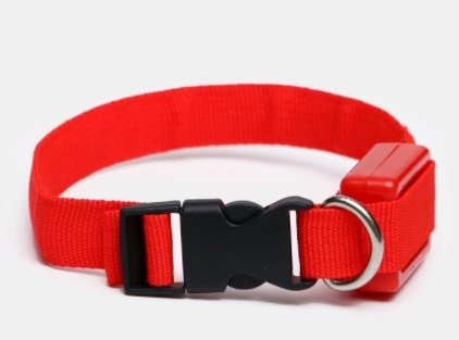 Ошейник светящийся узкий д/собак 22-35 x 1,5 см.красный
