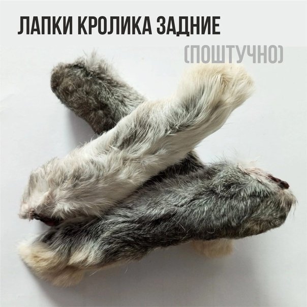 Задние лапки кролика 1ШТ
