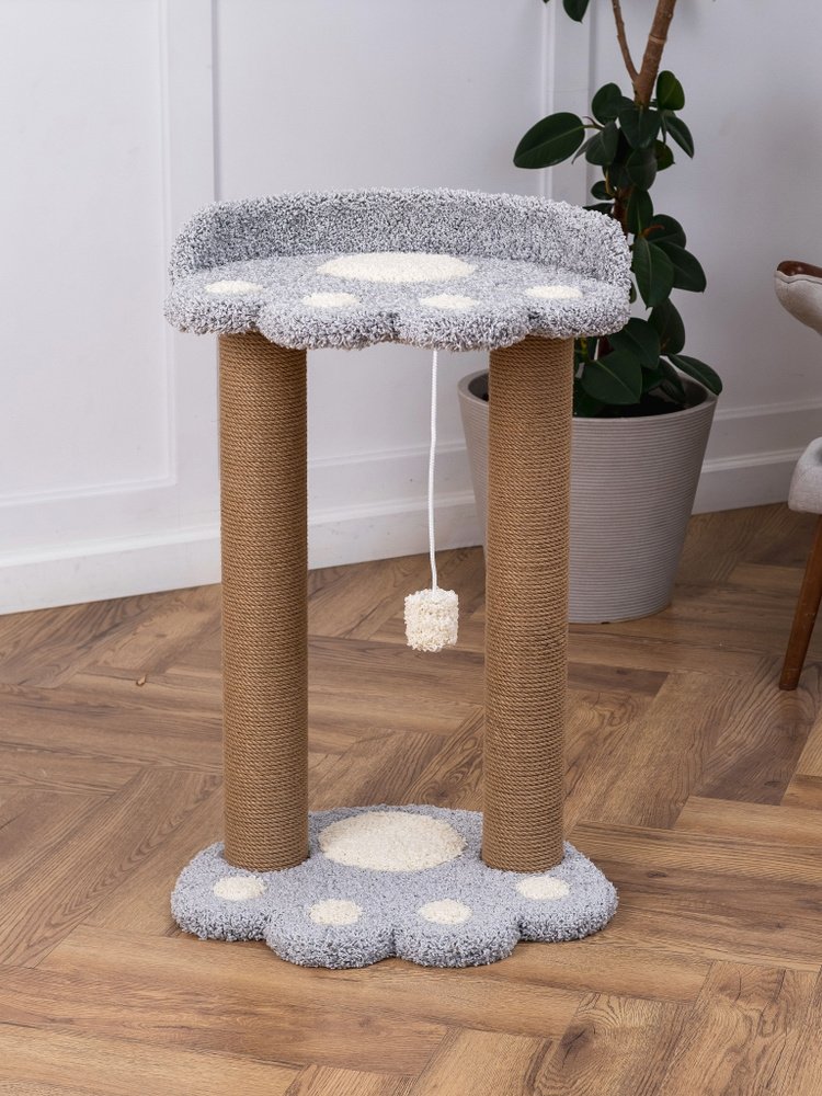 Когтеточка Лапка серая