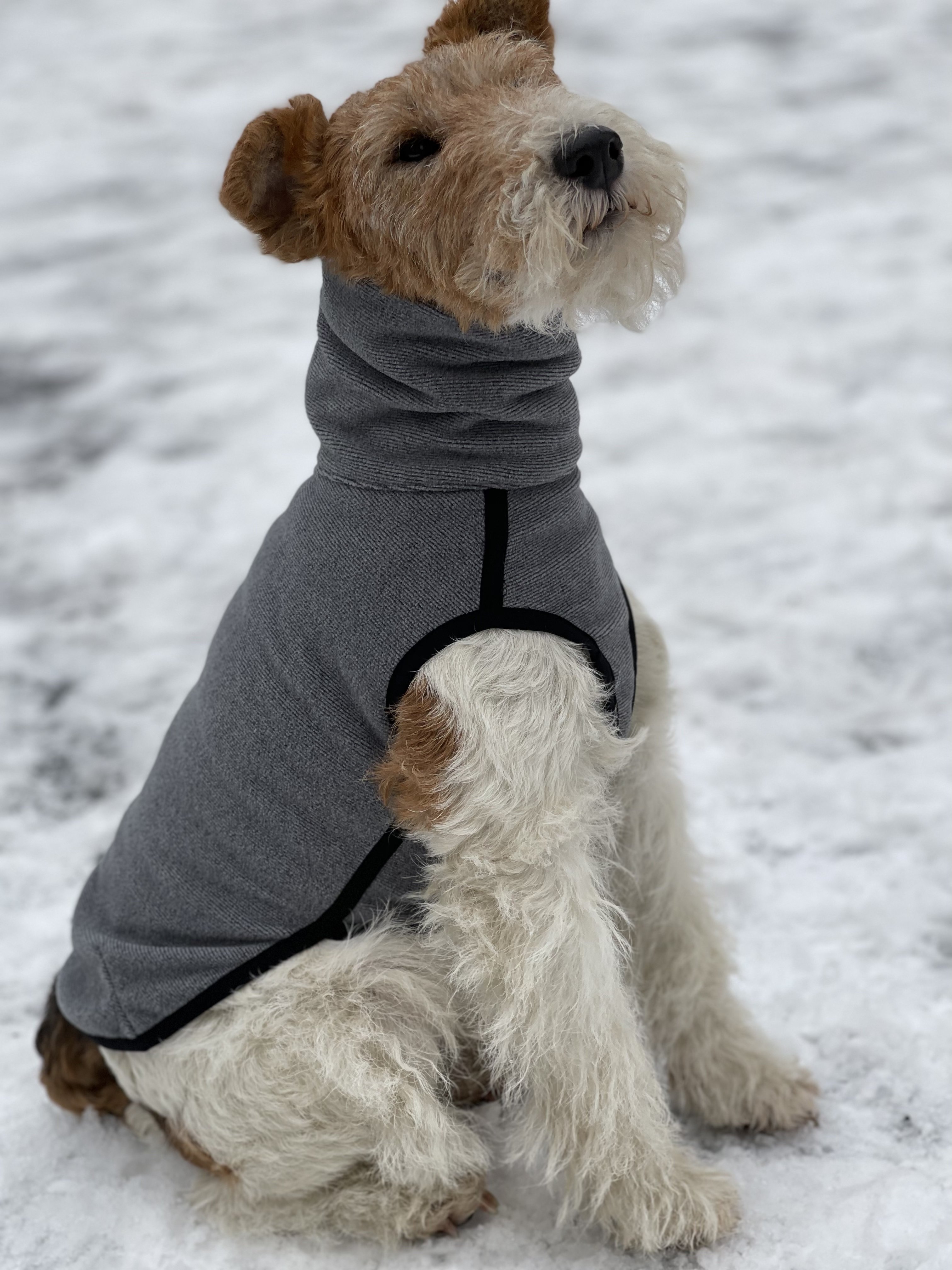 8032 Свитер для собаки на молнии, цвет cерый, размер М