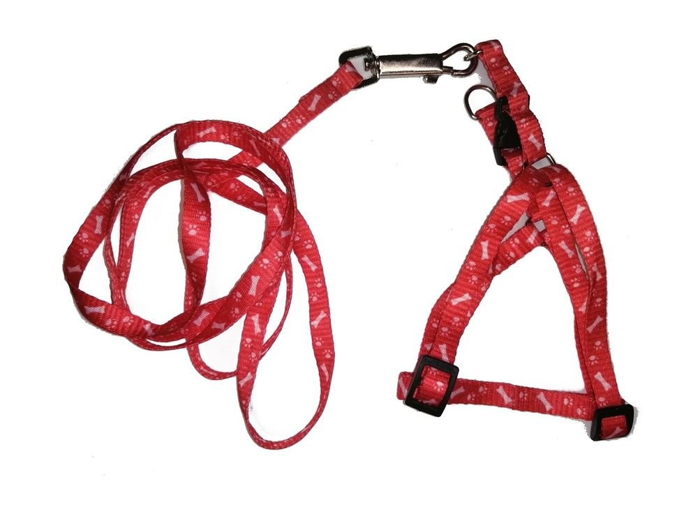 Комплект  шлейка+поводок (Красный)