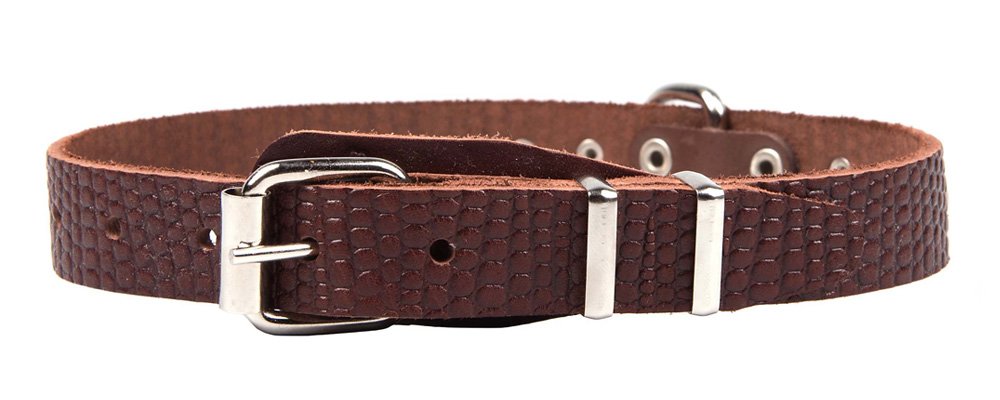 Ошейник 20 рептилия украшенный