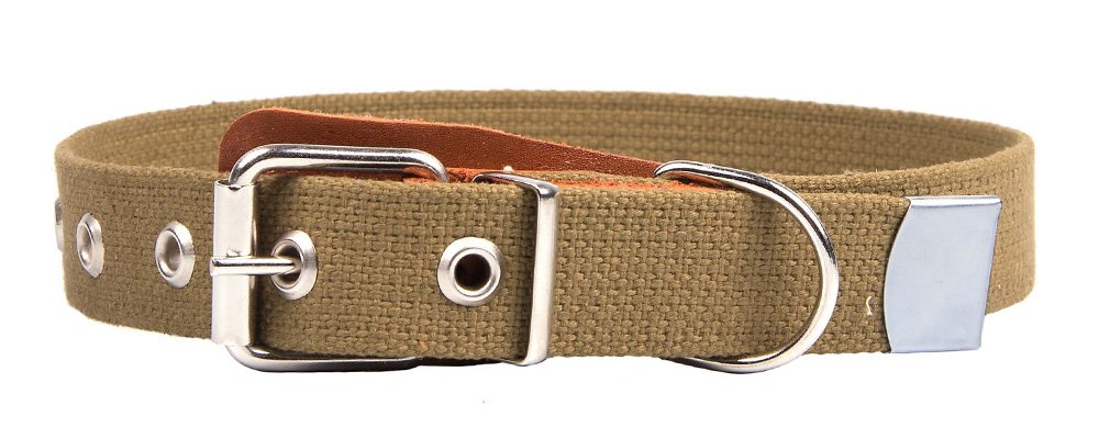 Ошейник 25 брезент