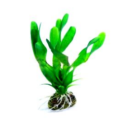 РАСТЕНИЕ "ТРИТОН" ПЛАСТМАССОВОЕ 16см (1669) (К-Й)