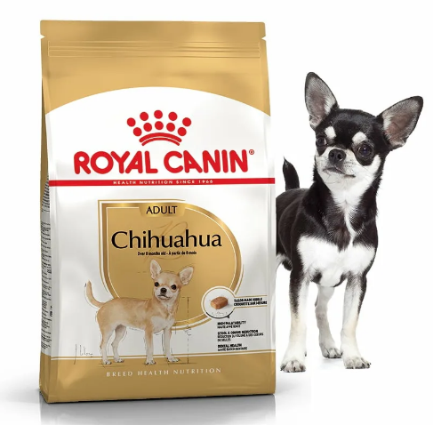 Чихуахуа 1,5 кг