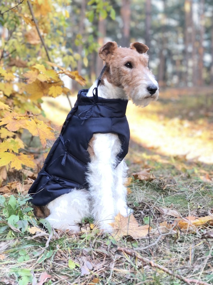 8025 Жилет для собак на завязках, синий,  S